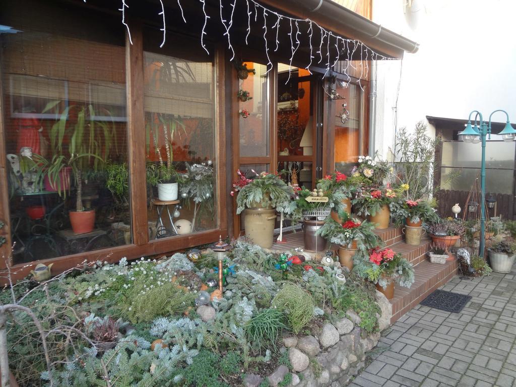 Alteschule15 * Leibsch