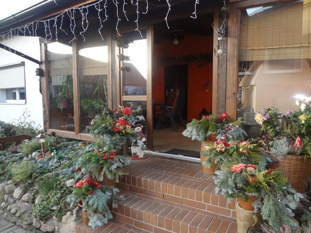 Appartement Alteschule15