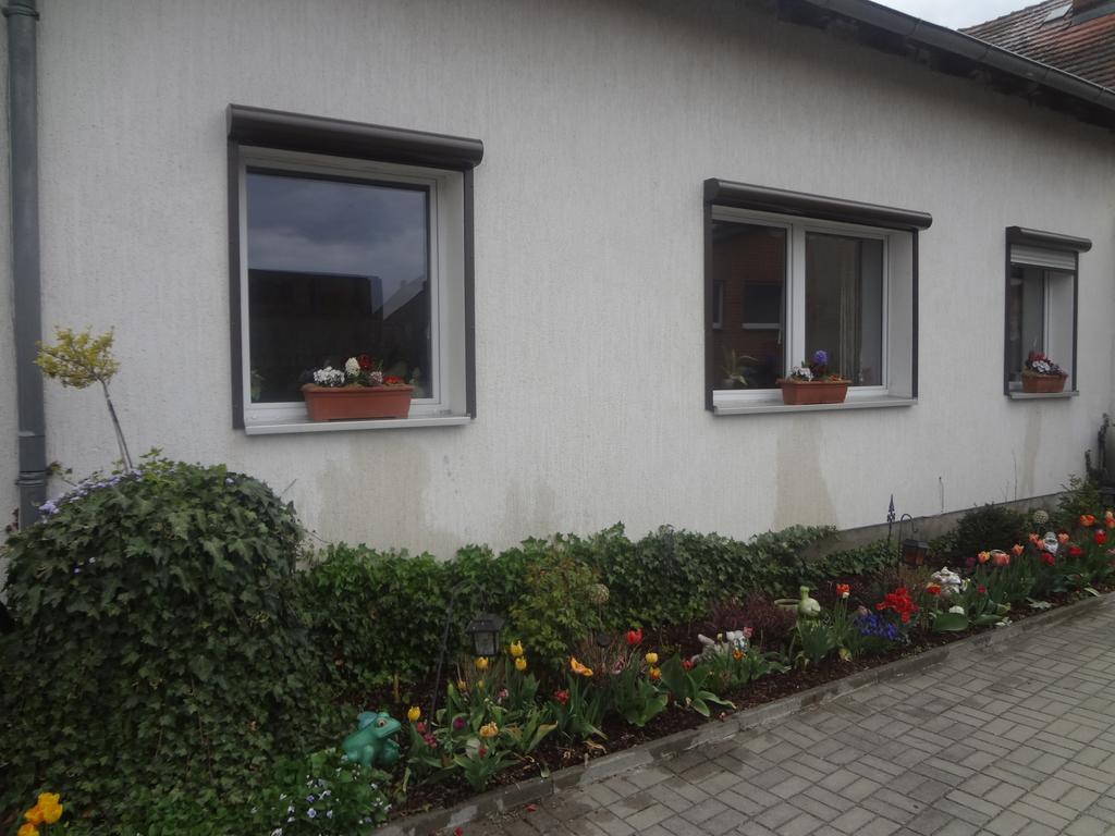 Alteschule15 *